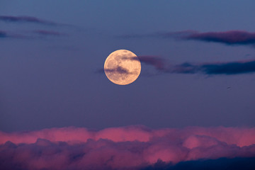 Wall Mural - moon and clouds