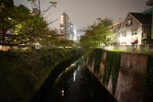 Canal At Night With Overhanging Trees Between Modern Buildings And Residential Houses In A City
