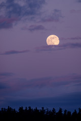 Wall Mural - moon and clouds