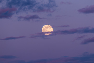 Wall Mural - moon and clouds