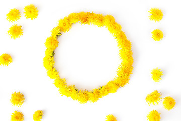 Wall Mural - Round frame made of dandelions flowers. Summer concept, top view, flat lay