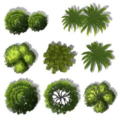 Wall Mural - set of watercolor green trees top view for landscape plan and architecture layout or gardening