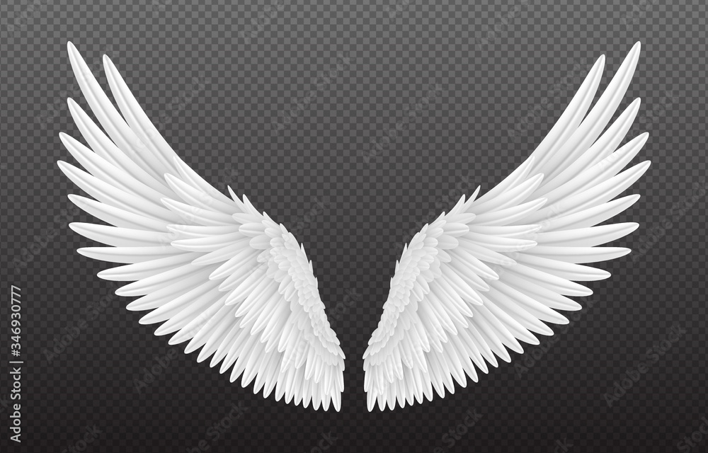 Pair of beautiful white angel wings isolated on transparent background ...