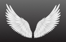 Pair Of Beautiful White Angel Wings Isolated On Transparent Background, 3D Realistic Vector Illustration. Spirituality And Freedom