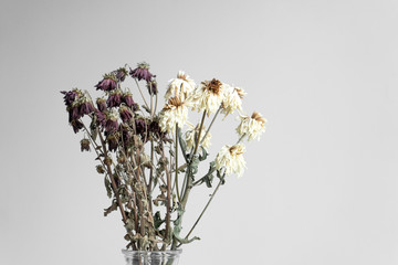 Wall Mural - Bouquet of wilted flowers on a white background