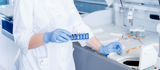 Wall Mural - laboratory technician sets test sample in automatic express tester