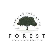 Banyan Tree Logo For Tree Service / Residential Landscape Vintage Logo Design