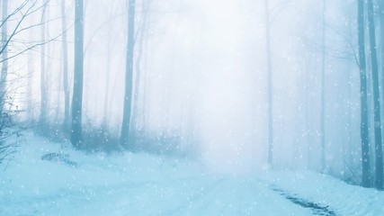 Wall Mural - Foggy winter season forest road with snow falling. Magic snowy woods background.