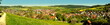 malerisches weites Panorama vom Dorf Gültlingen im Schwarzwald im Frühling unter blauem Himmel