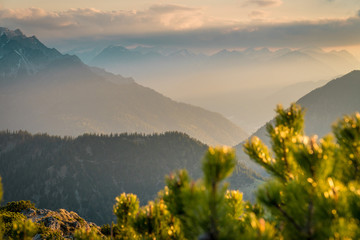 Mountain panorama of the Alps at sunset