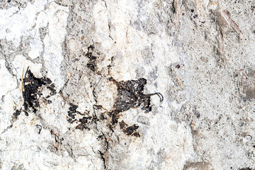 Background, texture, rough concrete wall, with cracks and holes.