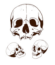 Skull Art Design