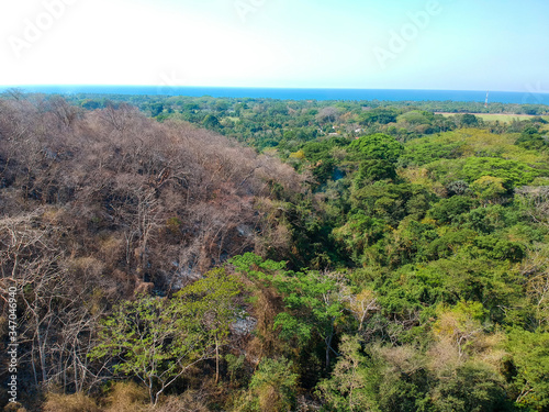 Fotomural Incendio en Parque Walter Thilo Deininger en La Libertad El Salvador mitad en i