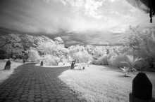 Infrared Image Of Trees And Empty Footpath On Field Against Cloudy Sky