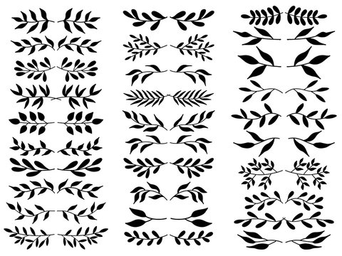 Set of floral deviders, border vector