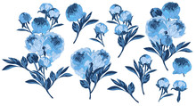 Vintage Illustration With Blue Flowers On White Background
