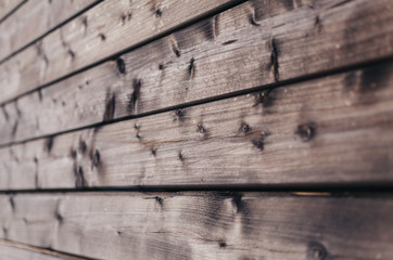 Wooden facade of the house in the woods with a beautiful texture