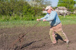 Elderly Ukrainian senior peasant working with hand plough in kitchen garden at spring season