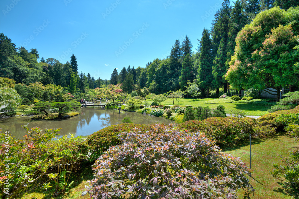 Japanese Garden at Washington Park Arboretum, Seattle, Washington State, United States - obrazy, fototapety, plakaty 