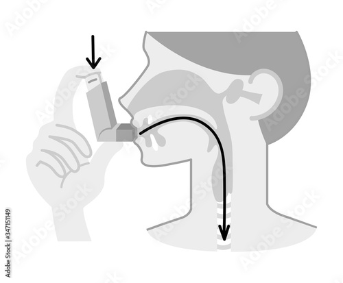 62 Arrow Marode Vector Wall Murals Canvas Prints Stickers Wallsheaven