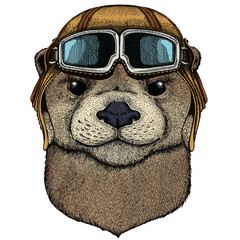 Portrait of otter. Cute animal head. Vintage aviator helmet with googles.