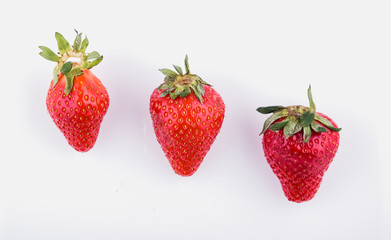 red ripe strawberries on a white background