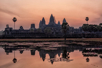 angkor wat