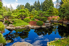 View Of The Pond Of The Botanical Garden In Denver,Colorado,USA.
