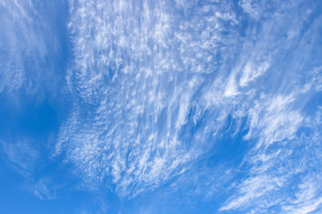 Wall Mural - clear blue sky and white clouds.