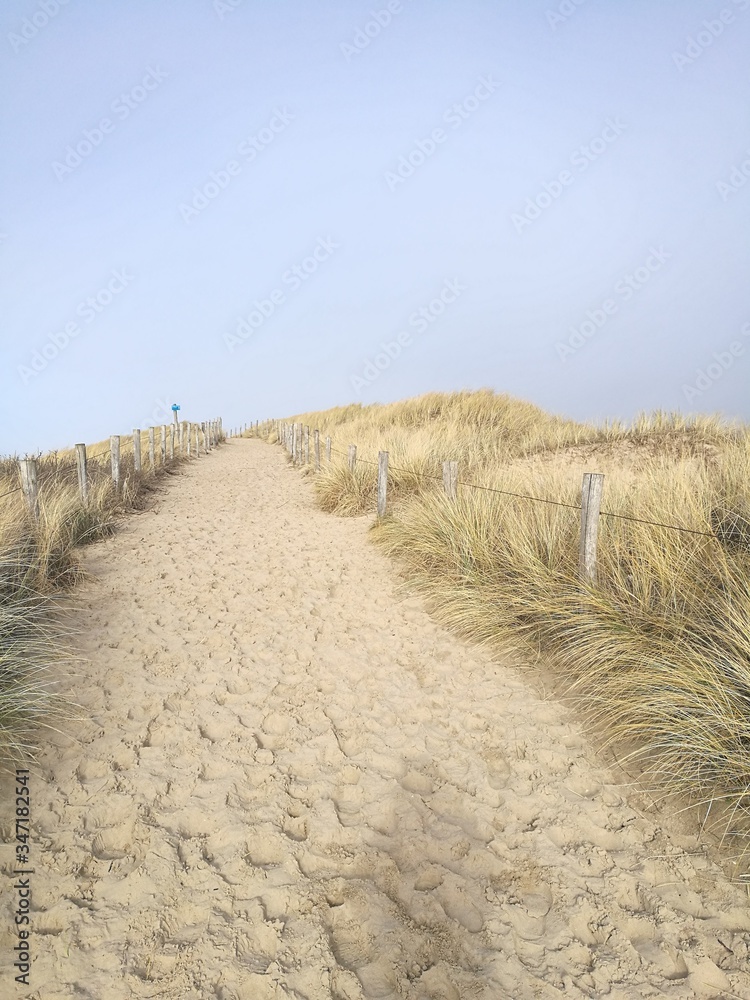 Scenic View Of Beach Against Clear Sky - obrazy, fototapety, plakaty 