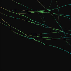 Wall Mural - creative design of lines background