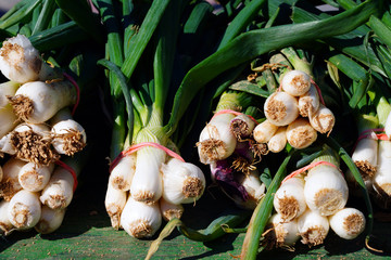 Wall Mural - Bunches of fresh green and white spring onions at a farmers market