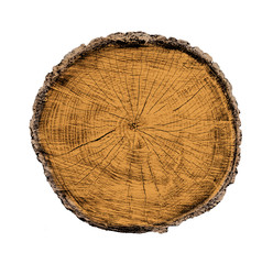Wall Mural - natural vintage wood tree rings textured background. end grain of tree section.