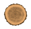 Felled piece of wood from a tree trunk with growth rings isolated on white. 