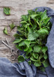 Nettle on a wooden table. Freshly picked nettle on an old wooden background wrapped in a blue linen towel. Edible and medical plant. Top view.