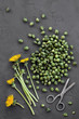 Dandelion buds, capers on concrete background. Young unblown for pickling. Harvest edible spring dandelion.