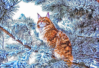 Wall Mural - A very nice wild red and white maine coon cat sitting on the pine tree in the winter snowy forest.