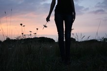 Low Section Of Silhouette Woman Holding Flower In Meadow