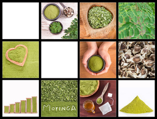 Sticker - Creative collage of moringa images - Moringa oleifera