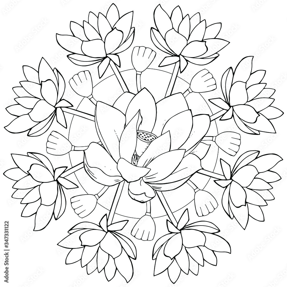 vector mandala with Lotus flowers. Beautiful relaxation black and white ...