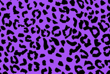 Black And Purple Leopard Skin Pattern For Background