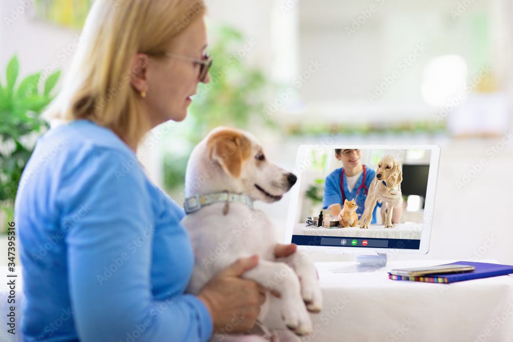 Online consultation with veterinarian doctor. - obrazy, fototapety, plakaty 