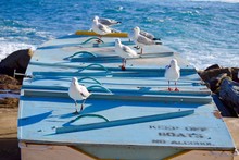 Seagulls Perching On Boat At Shore