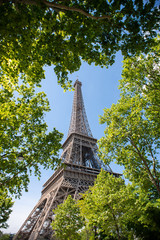 Eiffel Tower in Paris. France. View through Green Leaves.