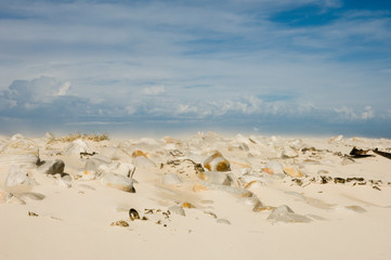 Wall Mural - scenic view over white beach