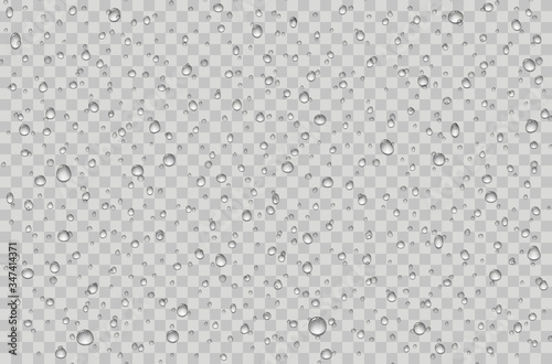 Fotomural Water droplets on a transparent glass. Rain drops on window.