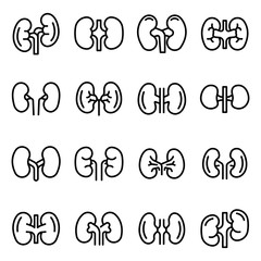 Poster - Kidney icons set. Outline set of kidney vector icons for web design isolated on white background