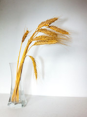 ears of wheat on the table