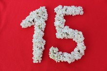 The Number 15 Is Written In White Lilac Flowers On A Red Background. The Number Fifteen Is Written In Fresh Flowers, Isolated On Red. Arabic Numeral Lined With Flowers.