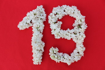 The number 19 is written in white lilac flowers on a red background. The number nineteen is written in fresh flowers, isolated on red. Arabic numeral lined with flowers.